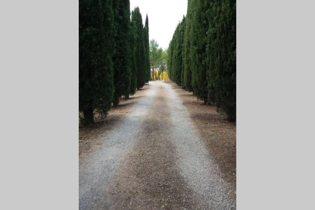 Villa Bastide Au Milieu Des Vignes Et Des Oliviers Aups Exterior foto