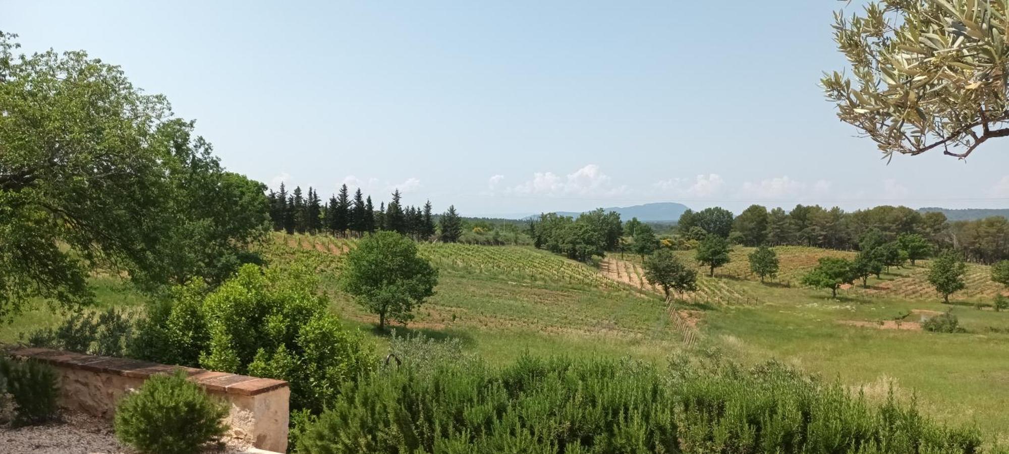 Villa Bastide Au Milieu Des Vignes Et Des Oliviers Aups Exterior foto